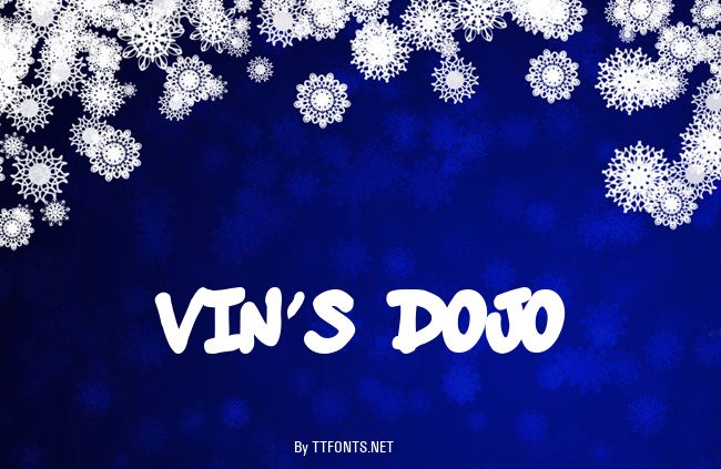 vin's dojo example